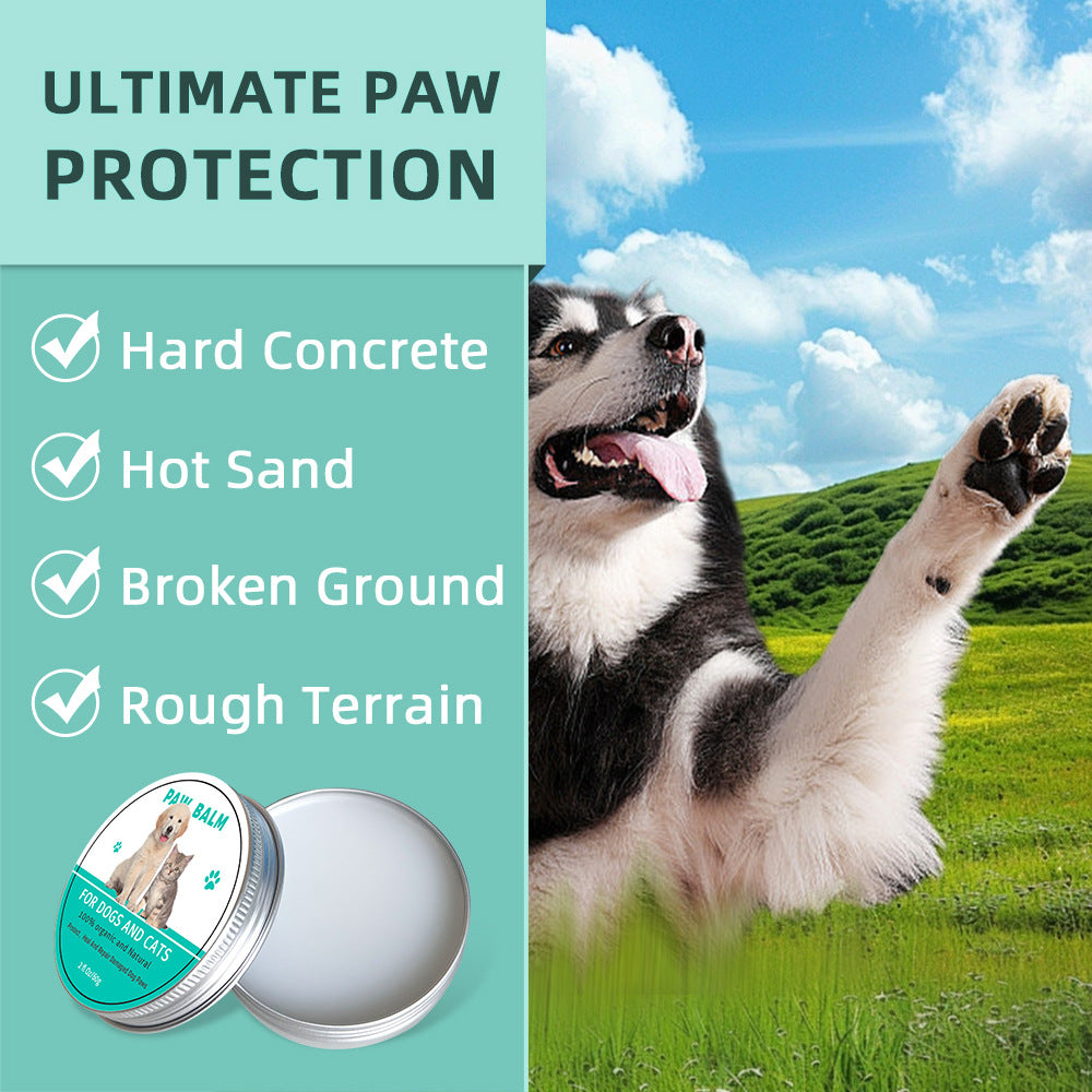 PawBalm™ – משחת כפות טבעית לכלבים וחתולים