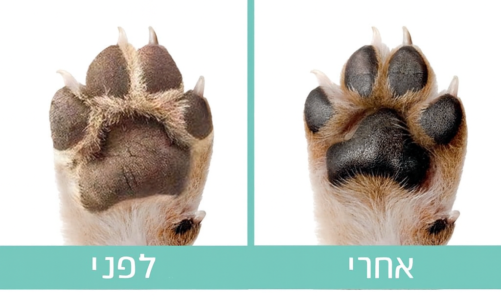 PawBalm™ – משחת כפות טבעית לכלבים וחתולים