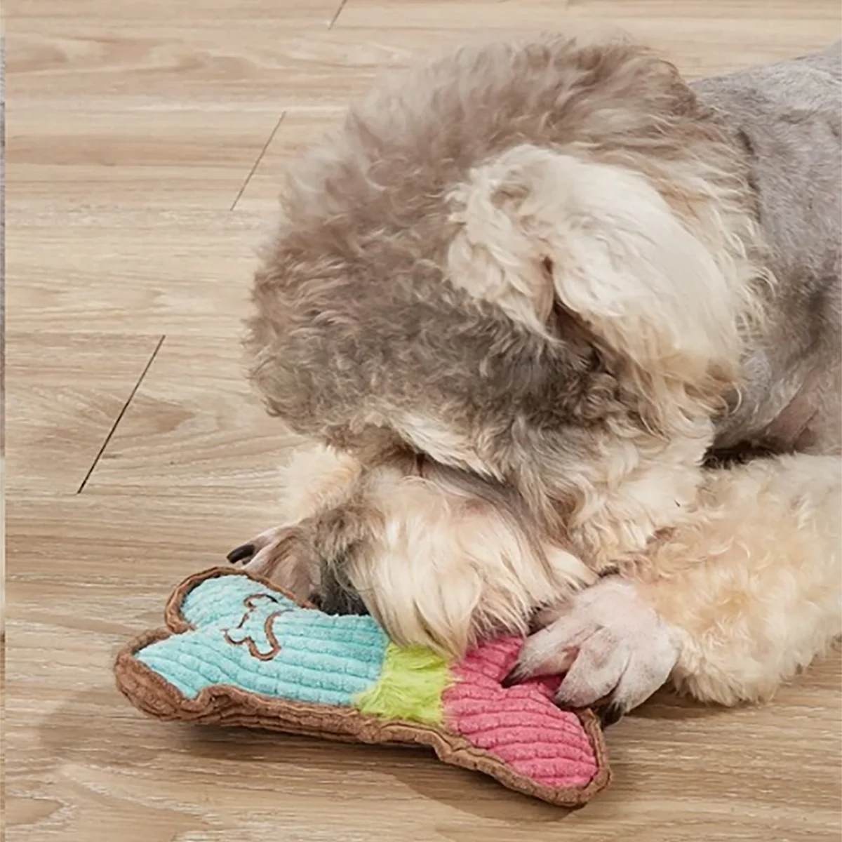 Colorful Squeaky Bone Plush Toy™