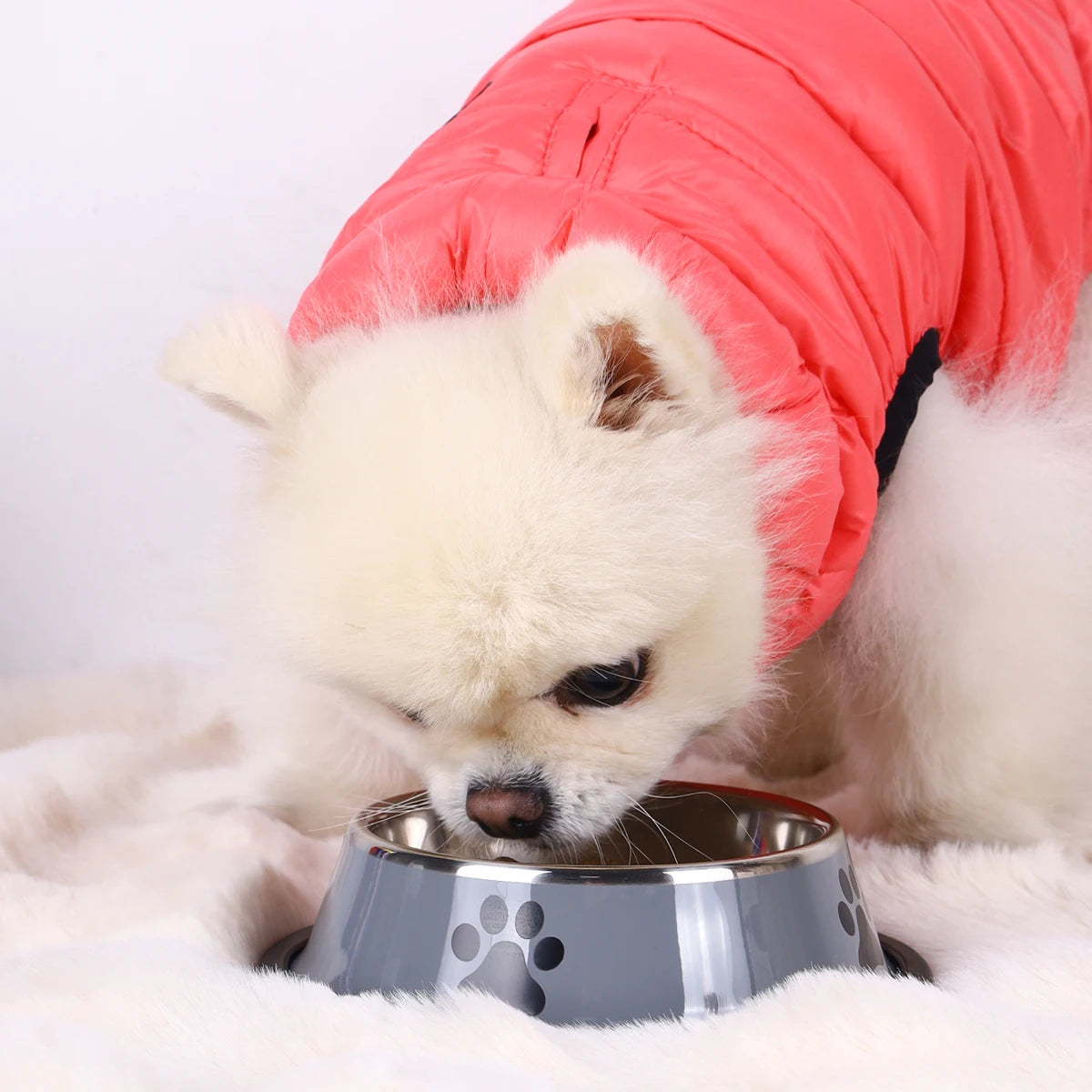 Stainless Steel Pet Bowl™ – Anti-Slip Design