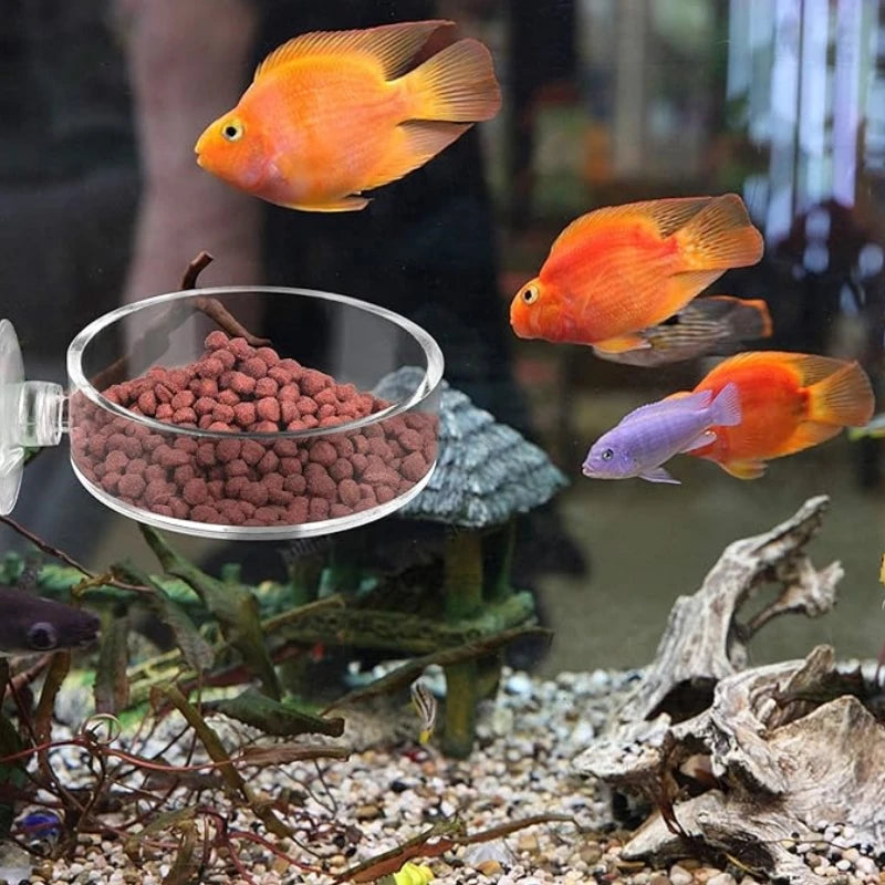 AquaBite™ Floating Feeding Ring