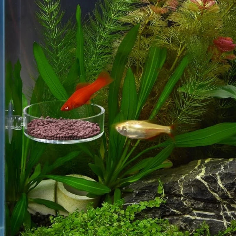 AquaBite™ Floating Feeding Ring