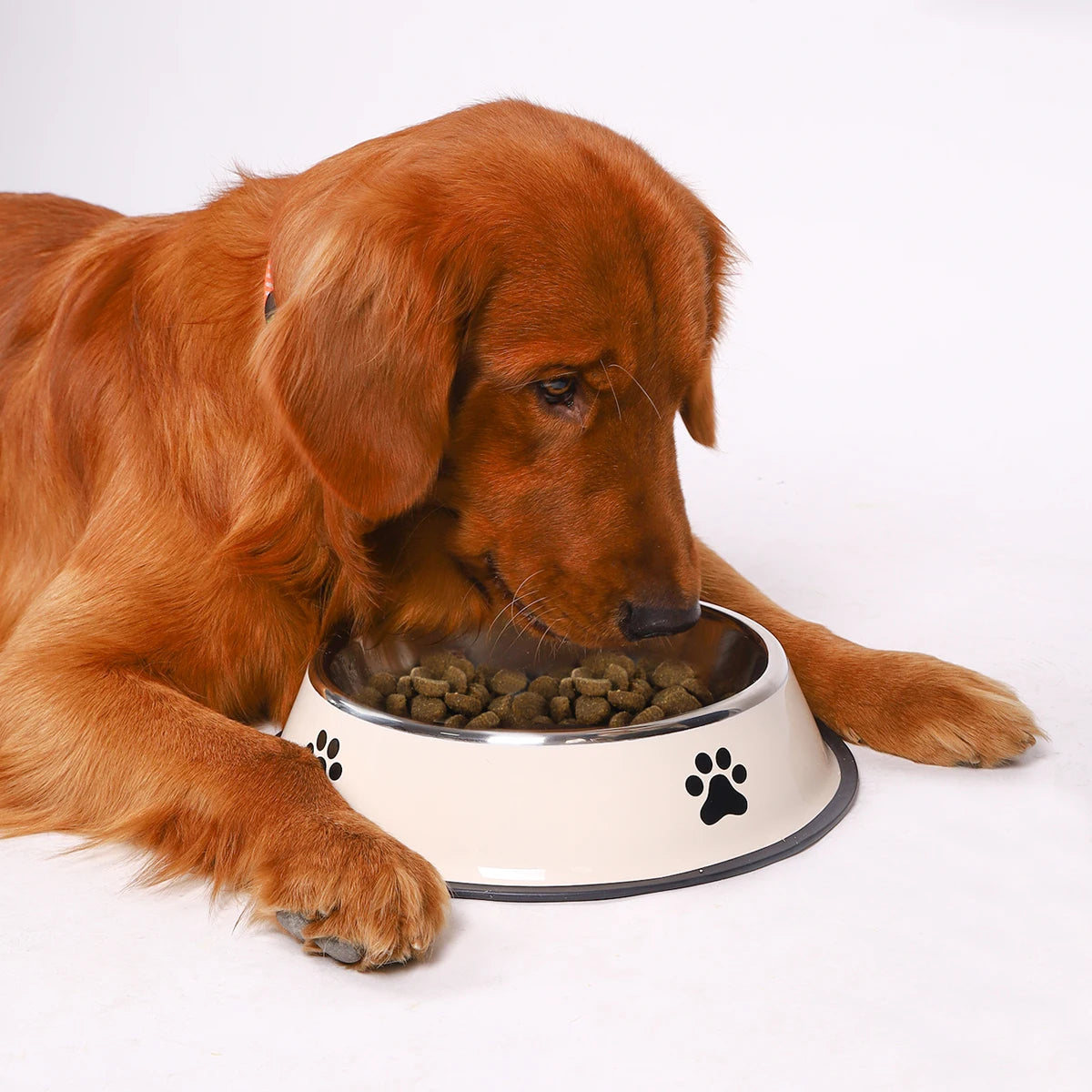 Stainless Steel Pet Bowl™ – Anti-Slip Design