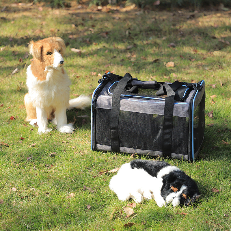 PetTravel™ תיק נשיאה מתקפל לחיות מחמד
