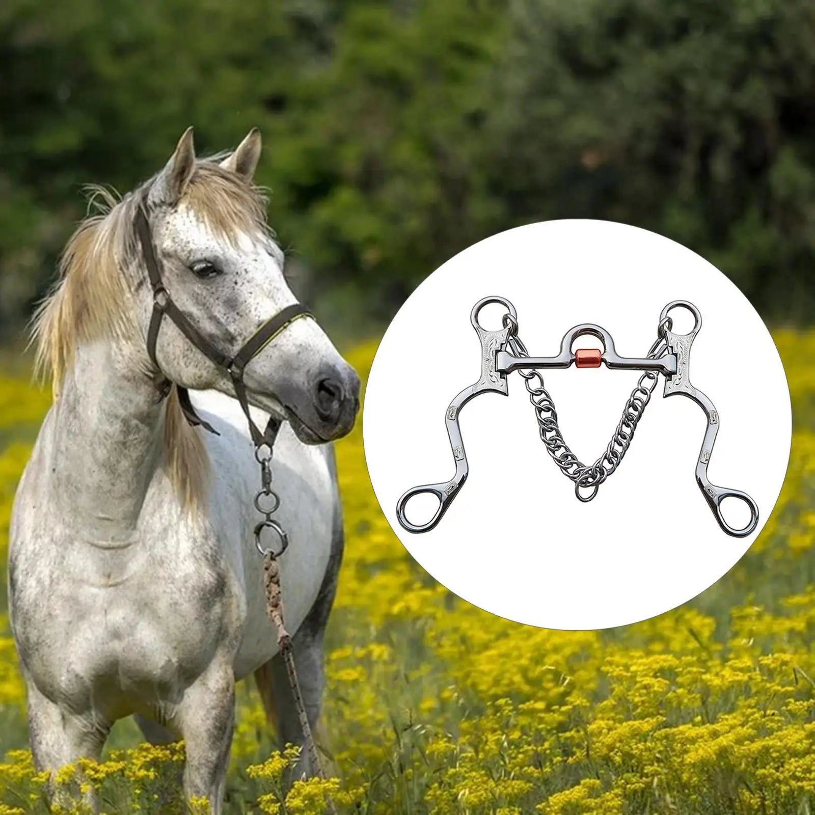 Stainless Steel Horse Bit with Curb Chain™
