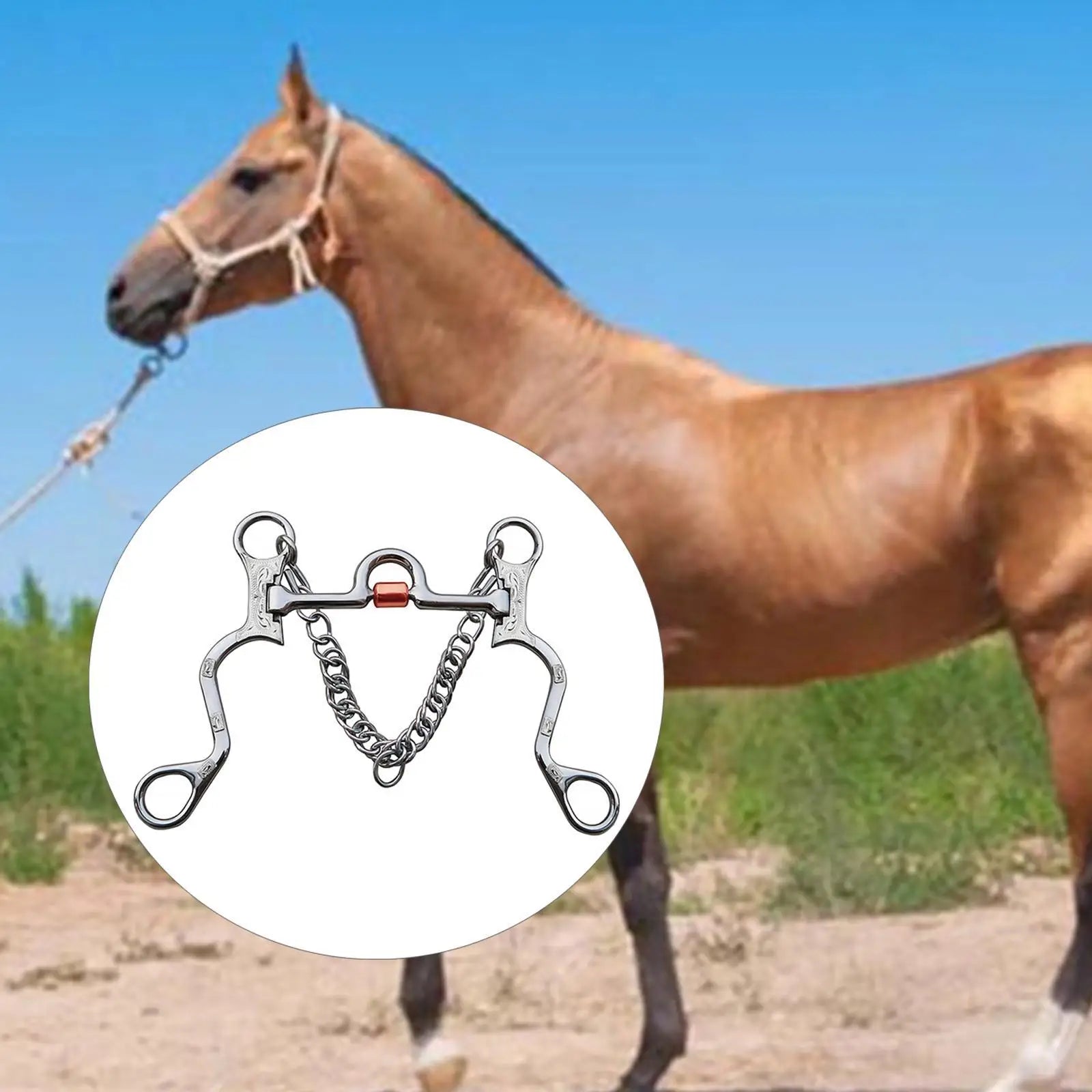 Stainless Steel Horse Bit with Curb Chain™