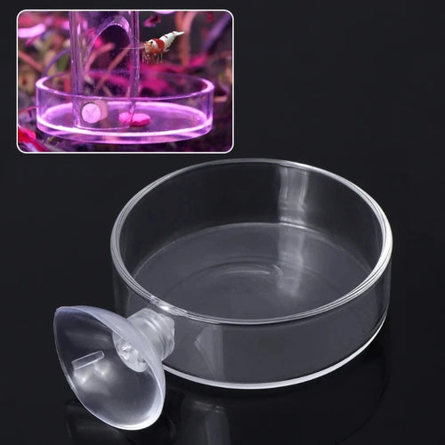 AquaBite™ Floating Feeding Ring