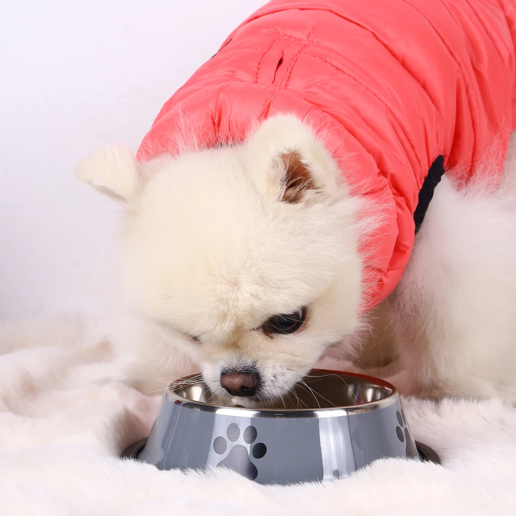 Stainless Steel Pet Bowl™ – Anti-Slip Design