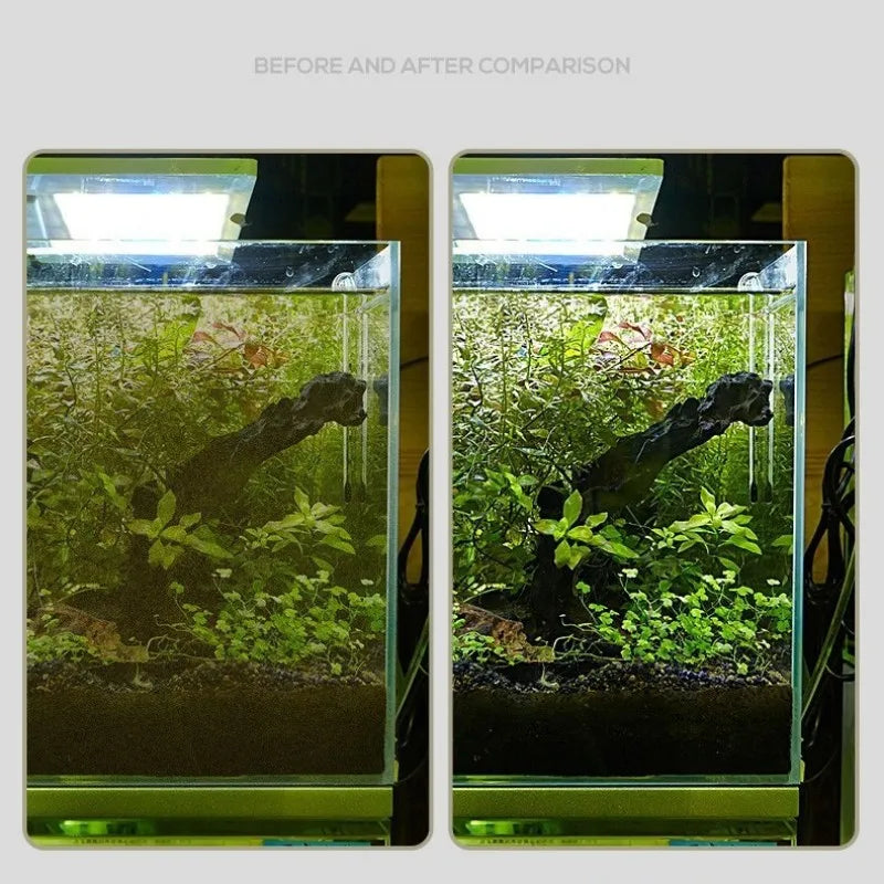 AquaWipe™ – Aquarium Glass Cleaner