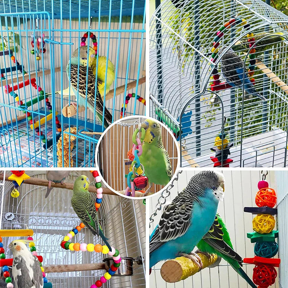 ColorPerch™ Bird Toy Set
