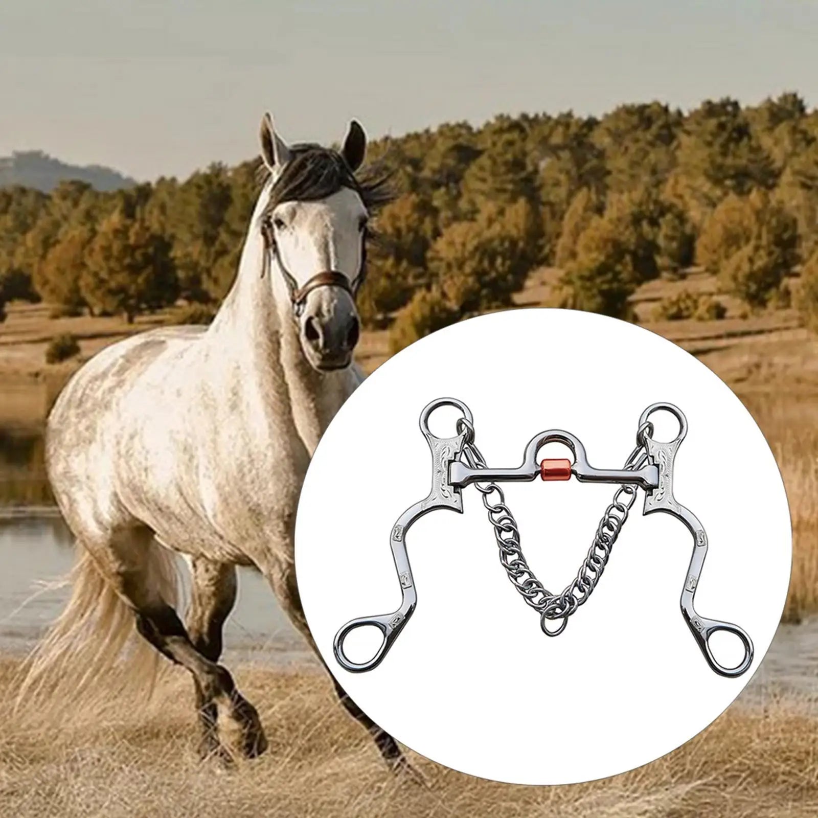 Stainless Steel Horse Bit with Curb Chain™