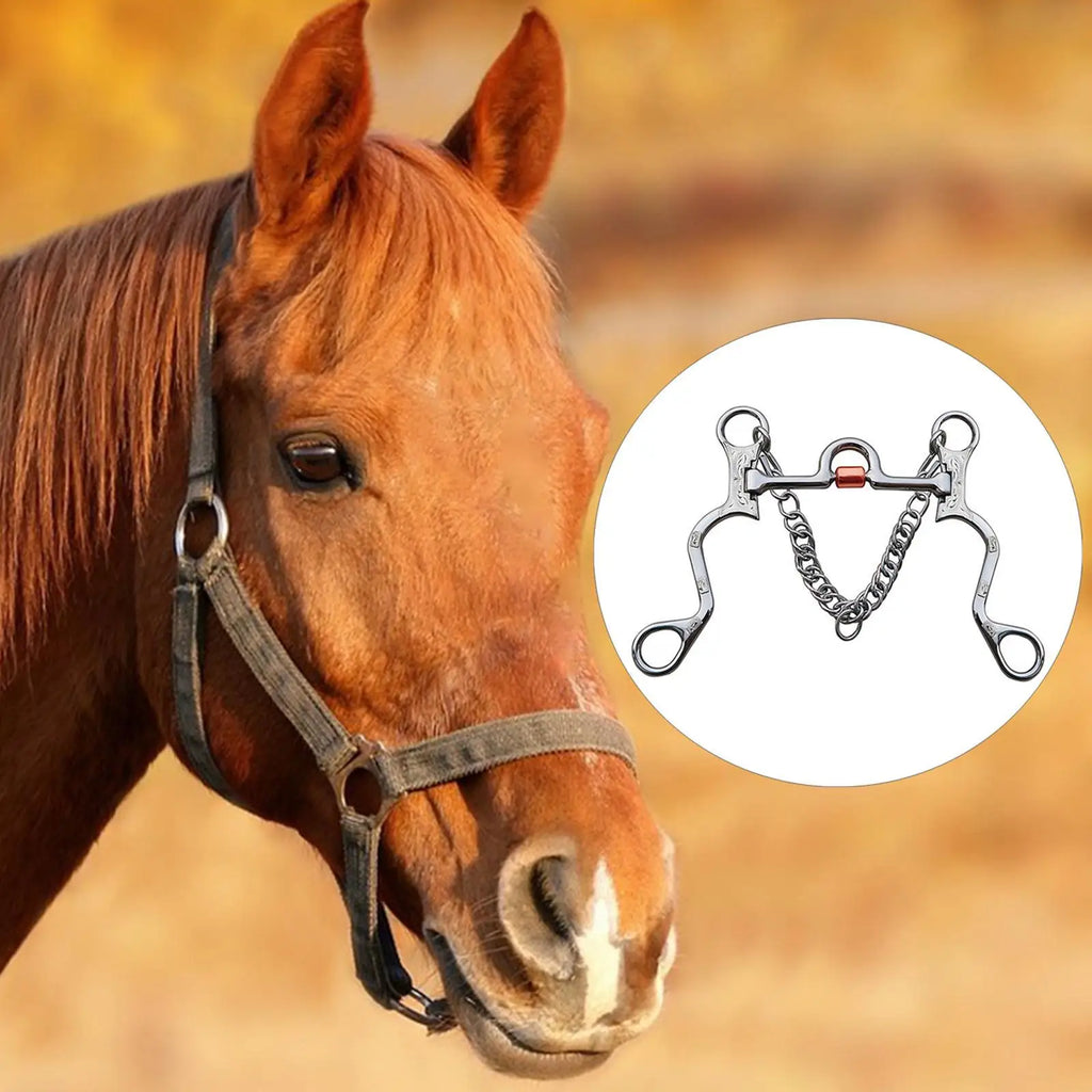 Stainless Steel Horse Bit with Curb Chain™