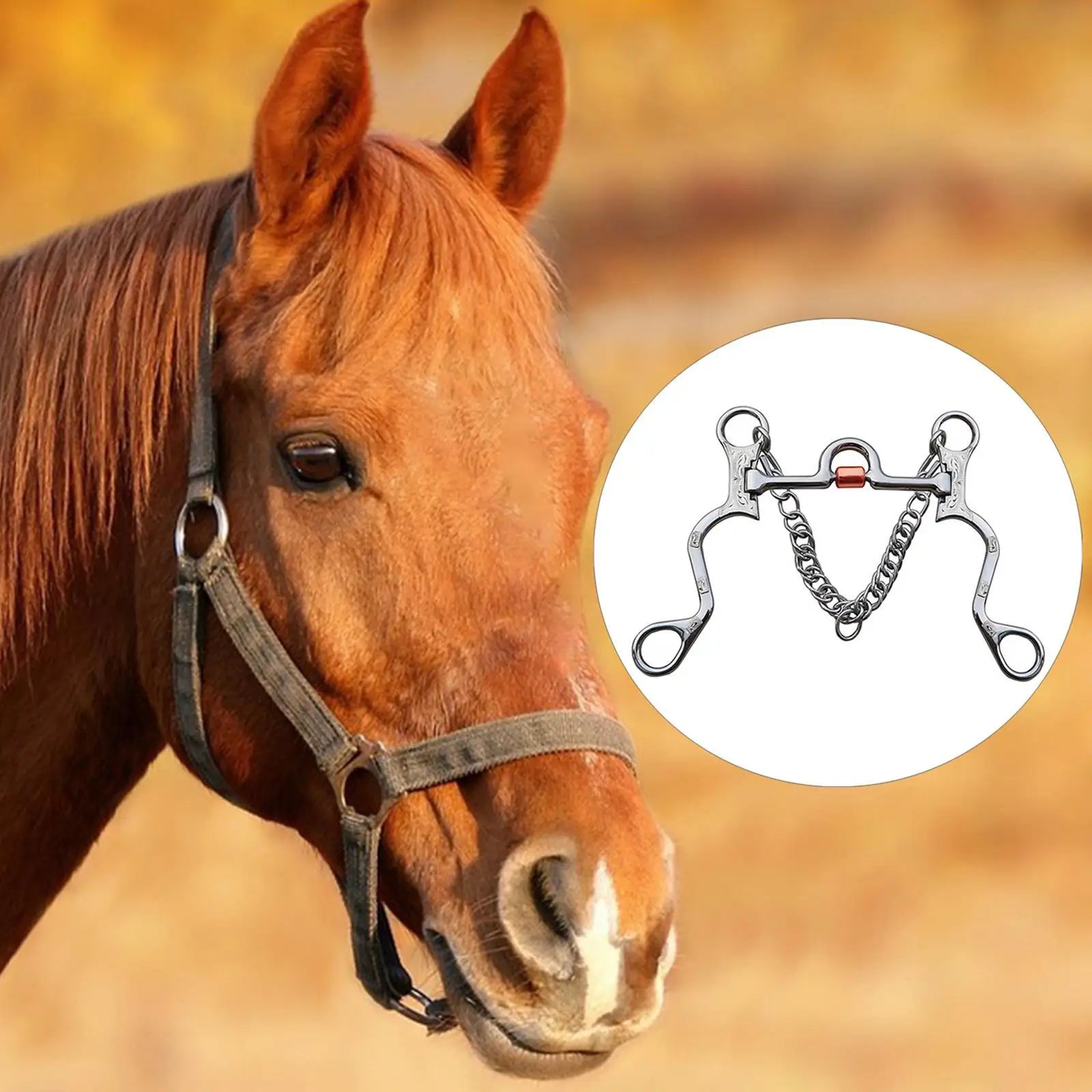 Stainless Steel Horse Bit with Curb Chain™